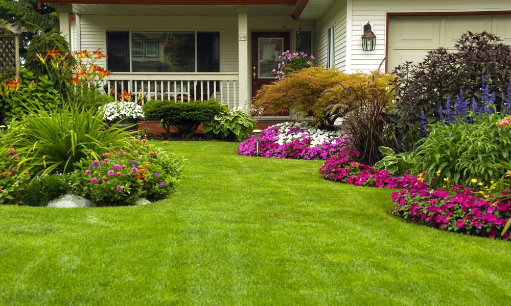 front garden with flower beds 