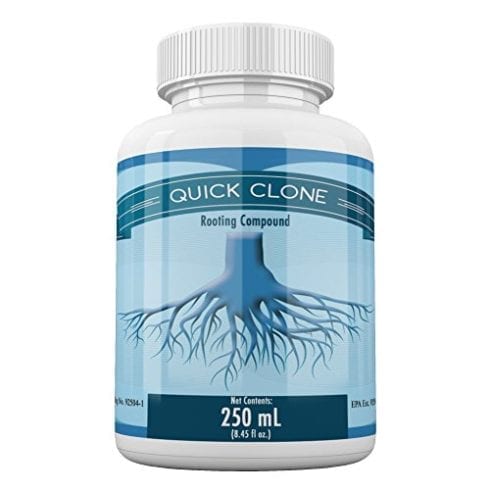 Quick Clone Gel