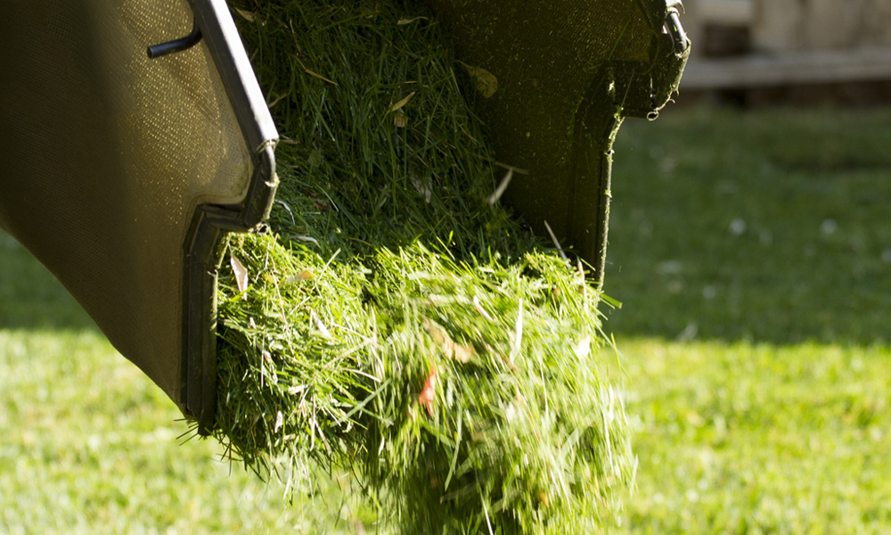 lawn mower bag full of grass