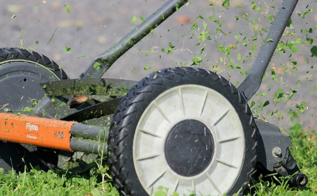 Reel Mower cutting grass