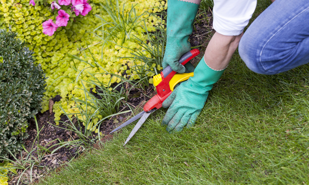 scissors cutting grass