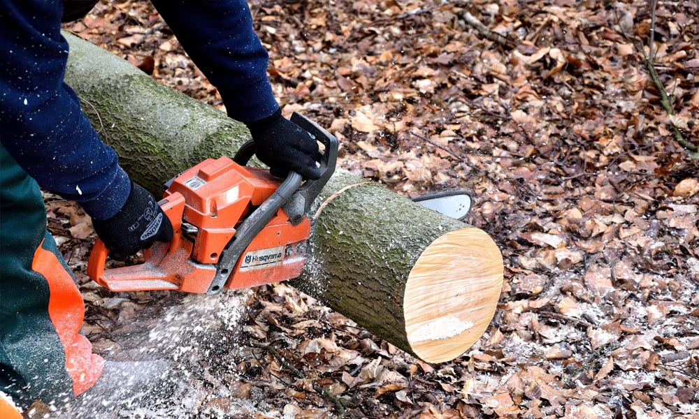 A man using a chainsaw 