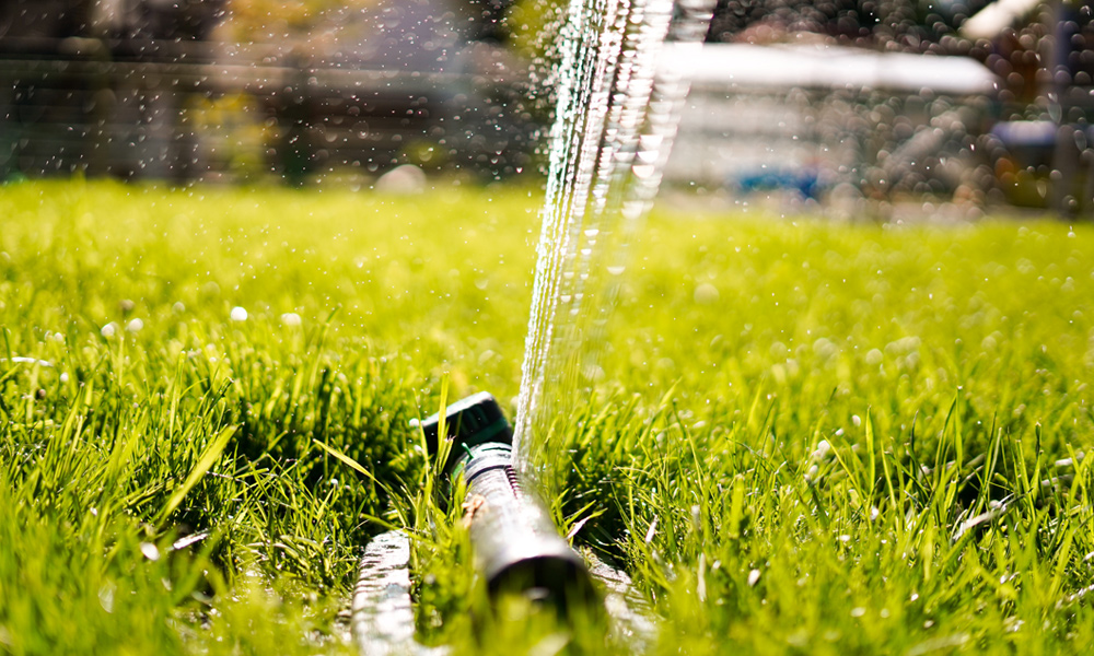 sprinkler watering a spring lawn