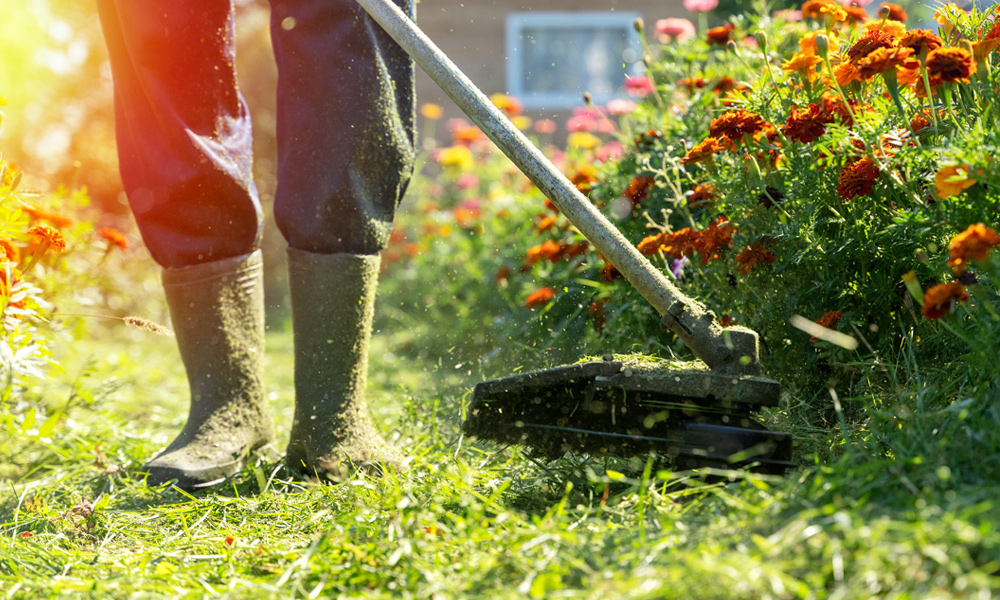 String trimmer cutting through long grass