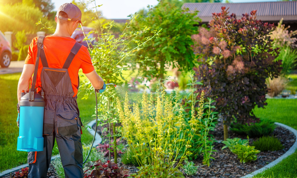 a work person using a garden sprayer